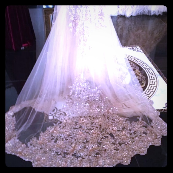 NEW Beautiful cathedral veil with sequin lace - Picture 3 of 8